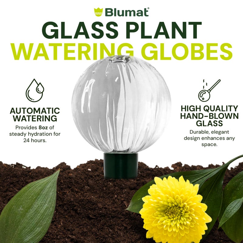 Blumat Glass Plant Self Watering Globes,Automatic Houseplant Drip Irrigation for Indoor Plants, Hanging Plants, Houseplants, Plant Garden Accessories,Vacation Plant Savers,Large Globe Small Adapter - Image 5